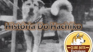 A Historia Do Hachiko