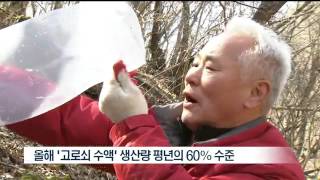 뉴스데스크