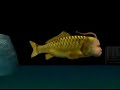 lets-play-seaman-day-10-part-2.html