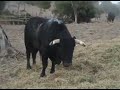 Del indulto a la vida Del indulto a la vida