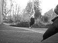 battle vid D-Jell     [Vendetta]
