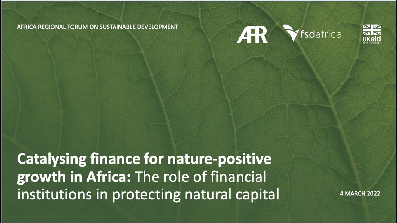 Catalysing Finance for Nature-positive growth in Africa