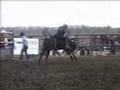 Carter Ostashek vs Steer