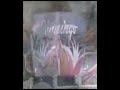 Las Vegas!!! las tres marías.... otro vídeo para el ytd Las Vegas!!! las tres marías.... otro vídeo para el ytd