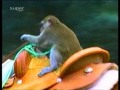 Upps! Die Pannenshow - Mega Lustig