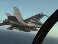 VFA-102 \"Carrier\"