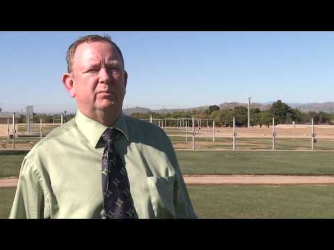 how to grow rye grass