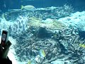 Churaumi aquarium3/4