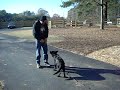 Biggy 5mth 008.AVI