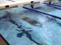 videos de MartySwimDec2007