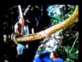 videos de Ohh Shit A PorkyPine!!!!