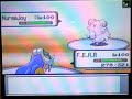 D/P Wifi Battle 40# Vs.Dngrslyrah888 D/P Wifi Battle 40# Vs.Dngrslyrah888