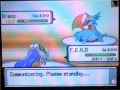 videos de D/P Wifi Battle 40# Vs.Dngrslyrah888