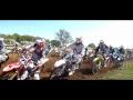 Milton MX2 Milton MX2
