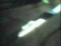 Slow Motion Seal Fighters I
