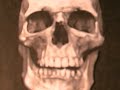 who-is-the-oldest-youtuber.html