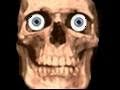 Who-Is-The-Oldest-Yo