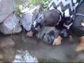bal�k av�   fish hunting     www divrigibayirlikoyu com  