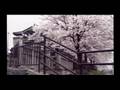 パチプロ風雲録５　~青春編~OP