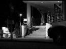 Arto Saari and  Stefan Janoski edit