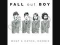 What A Catch, Donnie - Fall Out Boy