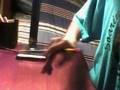 videos de SPInZ!!