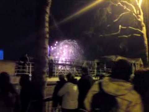 shawe sare sale2010LONDAN2