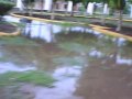 NAVOLATO SINALOA