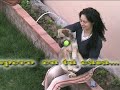 DARKI - NUEVA VIDA ADOPCIONES