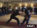 seminario di kali e knife kombat master danilo rossi e master mario spillere x la calix academy