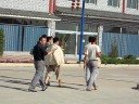 Chinese Funeral Ceremony