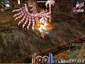 プリンストンテール動画