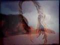 Bebel Gilberto "Winter"