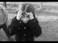 Lovee