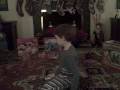 Strause Christmas 2008 next part Strause Christmas 2008 next part