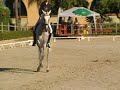 First time in Gran Prix Dressage. He is 8 years old. Lovely caracter. www.caballoscasares.eu