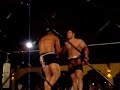 pelea valetudo de brandon 