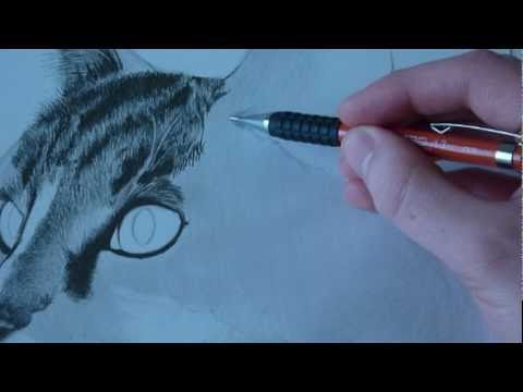 how to draw fur