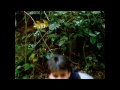 The Divine Comedy: Inferno-Trailer