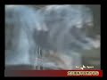 palladino skill vs albinoleffe