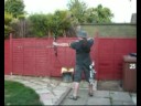 my form 30-06-2008 - the directors cut 2