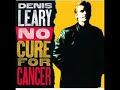 Dennis Leary - The asshole song