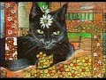 Black Cat Aceos