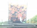 Logging Truck