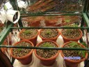 indoor - Creacion paso a paso de un armario para el cultivo indoor para nuevos cultivadores.