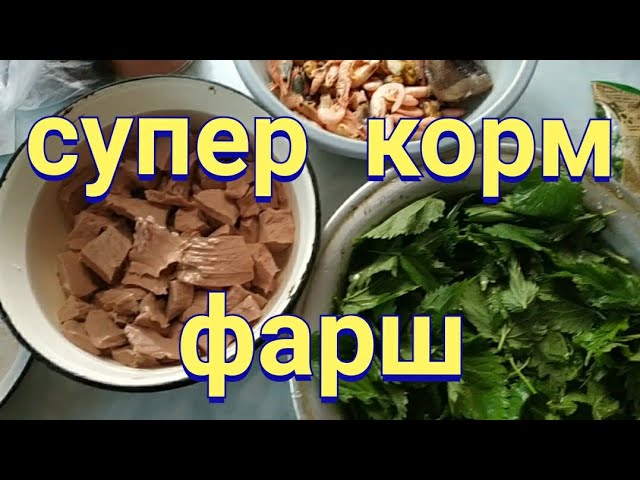 Очень хороший корм для аквариумных рыбок, своими руками