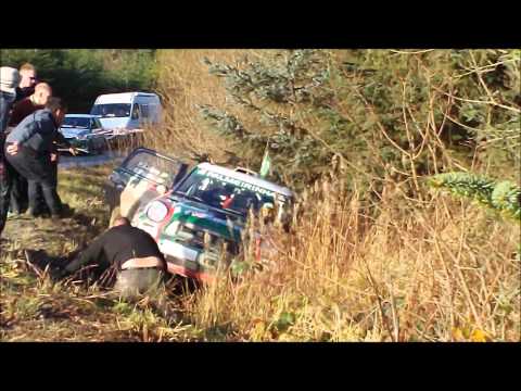 Mini WRC funny crash Mini WRC funny crash