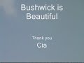 Bushwick is Beautiful