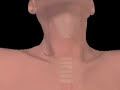 Minimally invasive parathyroid surgery