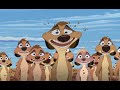 Król lew 3: Hakuna Matata. Part 1 z 8.